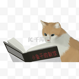 手绘猫咪与书本主题插画