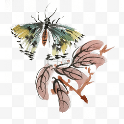 中国风水墨风蜻蜓手绘插画