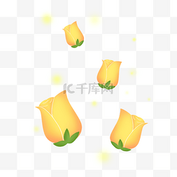 黄色可爱清新郁金香花