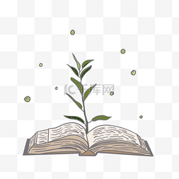 长着植物的书本