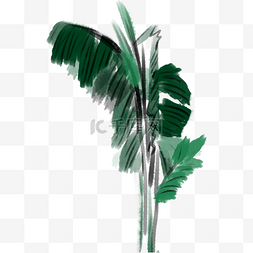 植物芭蕉树叶图片_水墨绿色的芭蕉插画