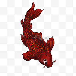 中国风手绘鱼插图