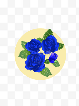 玫瑰玫瑰蓝色玫瑰蓝色妖姬玫瑰花
