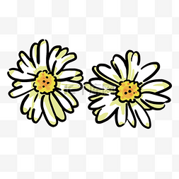 黄白色图片_ 黄白色雏菊 