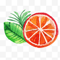 彩绘水彩图片_手绘切开橙子素材