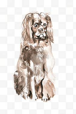 坐立的小狗图片_坐立的小狗水彩画PNG免抠素材