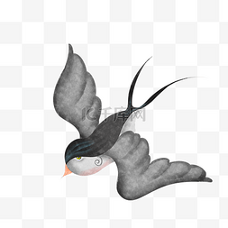 水墨飞翔的鸟图片_手绘飞翔的燕子
