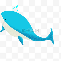 口水喷沫图片_蓝色喷口水鲸鱼