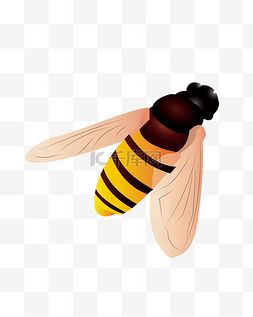 蜂蜜标签图片_矢量手绘卡通蜜蜂