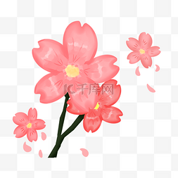  粉色樱花 