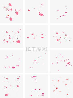 海报粉色图片_情人节粉色真实风活动促销花瓣雨