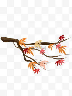 秋天枫叶手绘插画图片_秋树秋天枫树枫叶落叶手绘立秋节