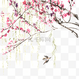 水墨写意图片_春天的花与小鸟水墨画PNG免抠素材