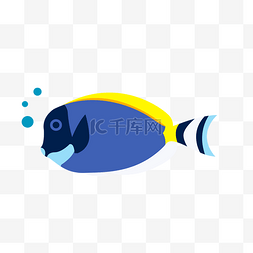 卡通海底生物图片_世界海洋日海底热带鱼插画矢量图