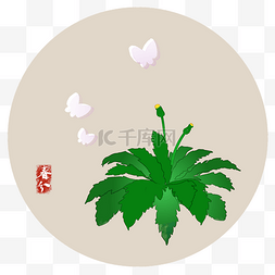 春菜粉蝶春分png素材