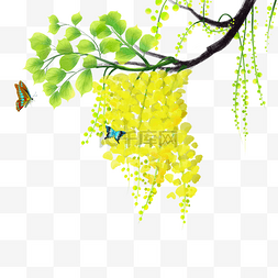 手绘春季树枝图片_手绘春天树枝和蝴蝶