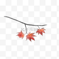 秋季树木插画图片_立秋古风红色枫叶