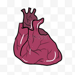 红色心脏人体器官