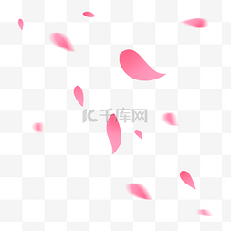 粉色花瓣漂浮素材图片_粉红色玫瑰清新花瓣