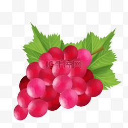 红色的水果图片_红色的水果葡萄插画