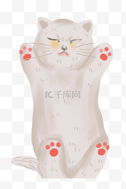 猫咪插画睡觉图片_世界睡眠日猫咪插画