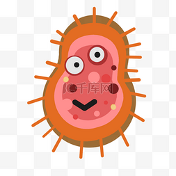 细胞生物学图片_细菌细胞生物学