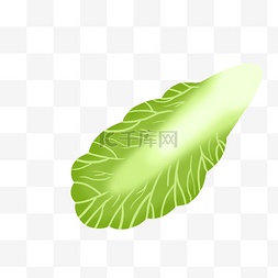 绿色植物手绘图片_青菜菜叶子PNG