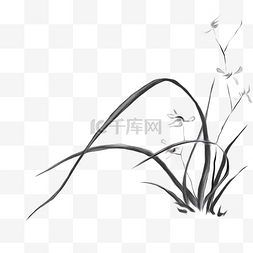 兰花鼠尾草图片_水墨古风兰花插画