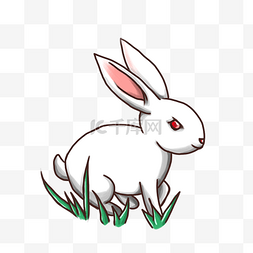手绘圆月图片_中秋节月兔手绘玉兔