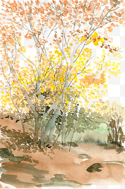 秋天的黄叶图片_秋天的小树林水彩画PNG免抠素材