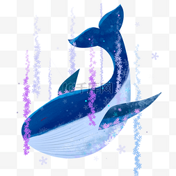 唯美鲸鱼插画图片_卡通手绘绚丽鲸鱼插画