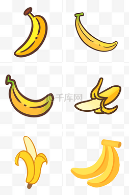 香蕉树树图片_一根成熟香蕉站立