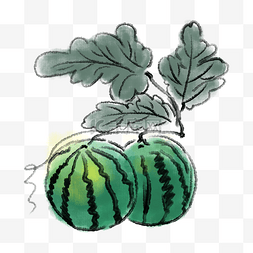 绿色的水墨西瓜插画