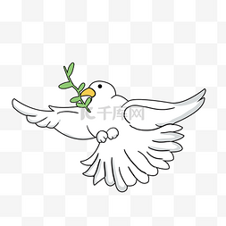 和平鸽和橄榄枝图片_国际和平日鸽子橄榄枝