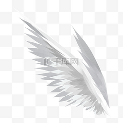 白色飞行的翅膀插图