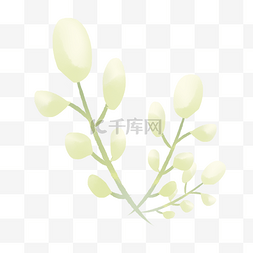 白色铃兰花图片_漂亮铃兰花