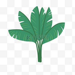 椰子树免抠图图片_卡通绿色的芭蕉叶免抠图