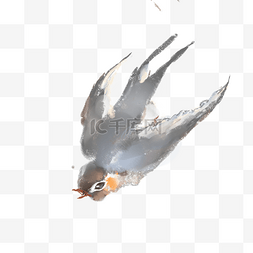 燕子飞翔插画图片_漂亮的水墨燕子插画