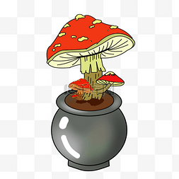 石罐毒蘑菇手绘插画