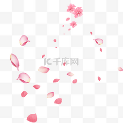 花朵飘散图片_粉红色花瓣装饰元素