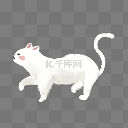 扁平化动物图片_白色可爱小猫元素