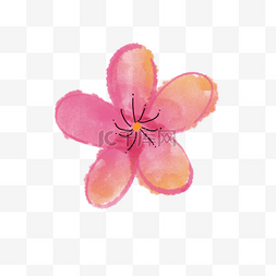 粉色系花朵彩绘图