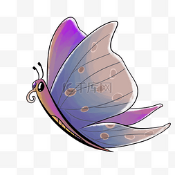 好看的翅膀图片_展翅飞翔的美丽蝴蝶图案