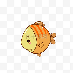 小胖鱼金鱼
