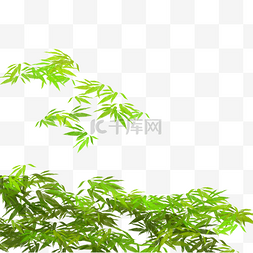 天气变化图片_绿色植物树叶元素