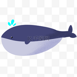 深蓝色喷口水鲸鱼