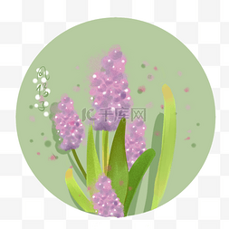 春季信子粉色