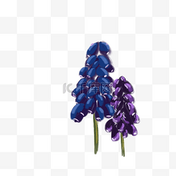 唯美紫色手绘花朵图片_紫色圆珠花朵写实鲜花绘画