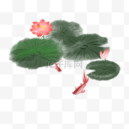 手绘水墨荷花插画