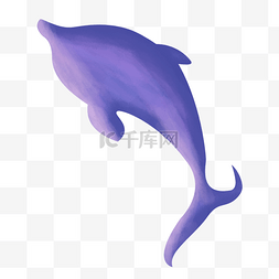 跳跃的海豚图片_紫色的海豚手绘设计图